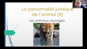 1. Ouverture colloque La personnalité juridique de l'animal (III) - Les animaux sauvages (Bruno Zakardjian)