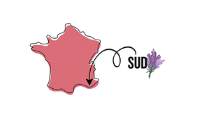 CVV-ROUSSEL Clara.mp4