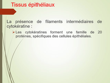 Les tissus