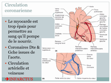 Sang et système cardiovasculaire 2