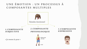 Qu'est-ce qu'une émotion ?