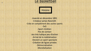 Rapport de stage L2 ES: Le Basketball