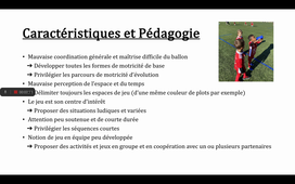 Rapport de stage