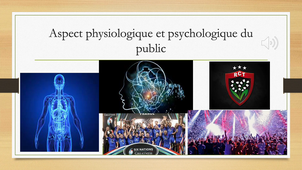 Rapport de stage GUERIN Alix