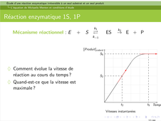 RAB35 - Chapitre 4 - III. Réaction 1S 1P irréversible