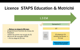 Capsule video stage L3 STAPS EM 2026-2027.mp4