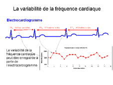 M1 - EOPS - Introduction à l'étude de la Variabilité de la Fréquence Cardiaque - 1