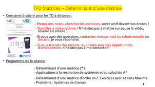 TP2-1 : Déterminant d'une matrice et applications