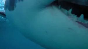 SEGE24_Teaser_SAE43.mp4