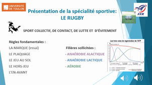 Rapport Stage Laura BORDERE L2 ES G26