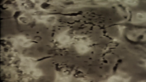 Teaser BGB 32 The Walking Cell
