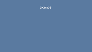 cv video définitif