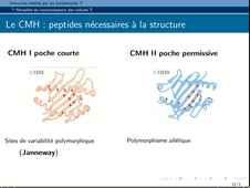 B46 - chapitre 3 - Activation des LT