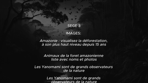 L2SV-SEGE3 V2 Teaser Amazonie à l'Agonie.mp4