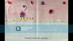 Homing GUIOT, LERMOYER, GUCCIONE, BLANDAMOUR