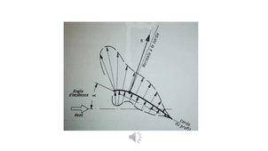 SUITE DU COURS SUR LE FONCTIONNEMENT DU VOILIER