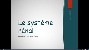 CM1 sur le rein