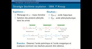 Chapitre 4 : oxydation des acides gras