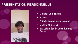 RAPPORT DE STAGE - MICKAEL LOMBARDIN G28 S4