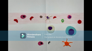 Immunité Innée GUIOT, LERMOYER, GUCCIONE, BLANDAMOUR