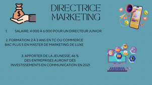 Projet Personnel et Professionnel S2 Anaïs Masson G3 TC1