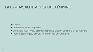 Rapport de stage S4 SALVATORE Capucine G28