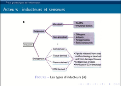 B46 - chapitre 2 - III -inflammation locale
