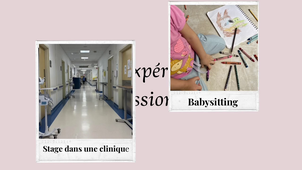 CVV-ALPHONSINE Audrey.mp4