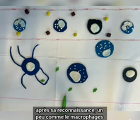 Projet vidéo B46
