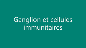la réponse immunitaire