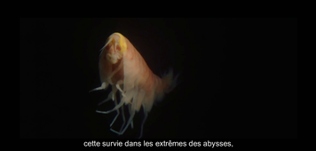 Teaser-SEGE13-LaFosseDesMariannes