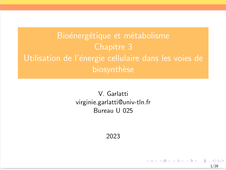 rab31-chapitre3.mp4