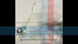 Immunité Adaptative GUIOT, LERMOYER, GUCCIONE, BLANDAMOUR