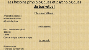 Rapport de Stage: Le Basketball