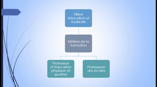Présentation de la filière EM
