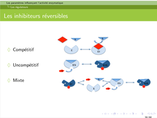RAB35 - Chapitre 4 - IV - Paramètres influençant l'activité enzymatique