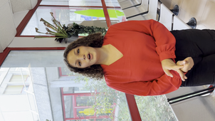 Cv vidéo