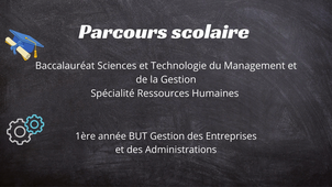 CV vidéo définitif
