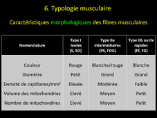 CM3 Physiologie 2 L1 - Physio musculaire
